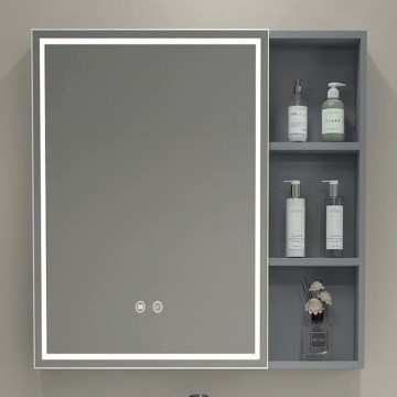 BRILAGI - LED Zrcadlová koupelnová skříňka s podsvícením AVOLA SINGLE 55x70 cm