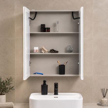 BRILAGI - LED Zrcadlová koupelnová skříňka s podsvícením BRONTE DOUBLE 60x75 cm