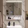 BRILAGI - LED Zrcadlová koupelnová skříňka s podsvícením TRABIA DOUBLE 60x70 cm