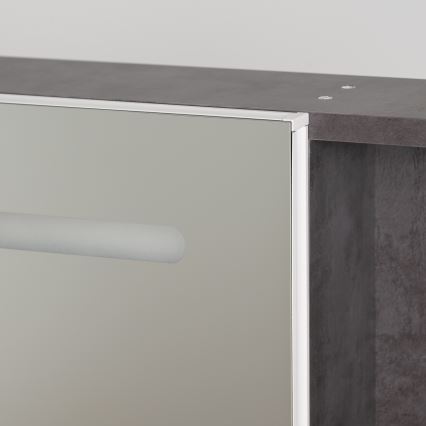 BRILAGI - LED Zrcadlová koupelnová skříňka s podsvícením TRABIA SINGLE 60x70 cm