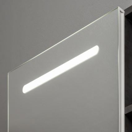 BRILAGI - LED Zrcadlová koupelnová skříňka s podsvícením TRABIA SINGLE 60x70 cm