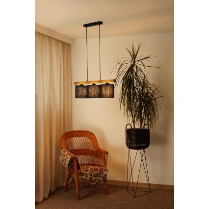 Brilagi - Lustr na lanku FOREST 3xE27/15W/230V borovice/černá