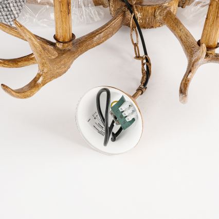 Brilagi - Lustr na řetězu DEER 6xE14/10W/230V pr. 102 cm paroží