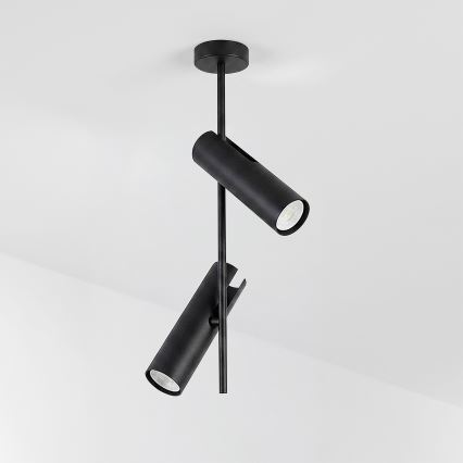 Brilagi - Lustr na tyči BRANCH 2xGU10/30W/230V černá
