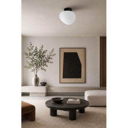 BRILAGI - Nástěnné svítidlo PEBBLES 1xE27/40W/230V pr. 20 cm černá