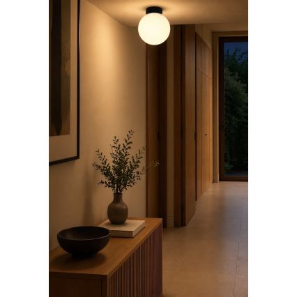 BRILAGI - Nástěnné svítidlo POLOS 1xE27/40W/230V pr. 20 cm černá