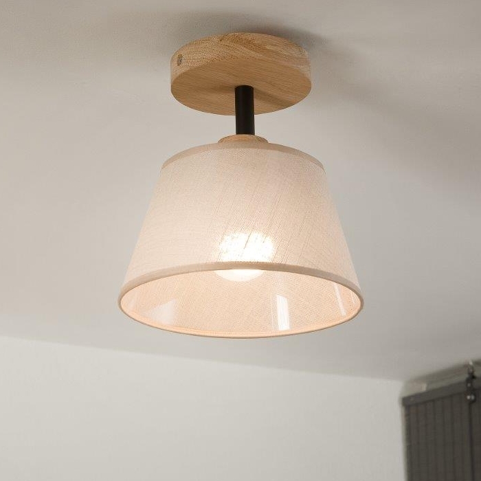 Brilagi - Přisazený lustr ANTHONY 1xE14/60W/230V dub/béžová