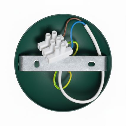 Brilagi - Přisazený lustr FLAMENGO 1xE27/60W/230V zelená