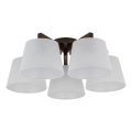 Brilagi - Přisazený lustr LATTE 5xE27/60W/230V borovice/bílá
