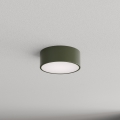 Brilagi - Stropní svítidlo CLARE 1xE27/40W/230V pr. 20 cm khaki