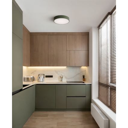 Brilagi - Stropní svítidlo CLARE 2xE27/24W/230V pr. 30 cm khaki