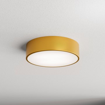 Brilagi - Stropní svítidlo CLARE 2xE27/40W/230V pr. 30 cm zlatá