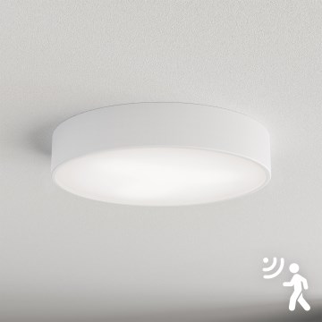 Brilagi - Stropní svítidlo se senzorem CLARE 3xE27/40W/230V pr. 40 cm bílá