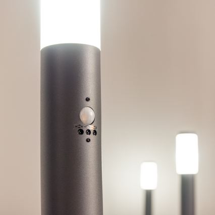 BRILAGI - Venkovní lampa se senzorem ELIA 1xE27/20W/230V IP44 50 cm antracit