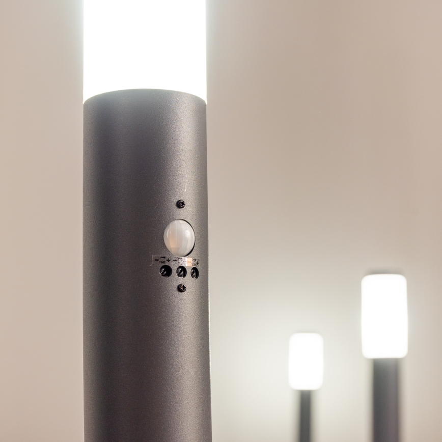 BRILAGI - Venkovní lampa se senzorem ELIA 1xE27/20W/230V IP44 50 cm antracit