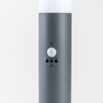 BRILAGI - Venkovní lampa se senzorem pohybu ELIA 1xE27/20W/230V IP44 100 cm antracit