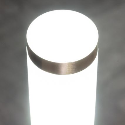 BRILAGI - Venkovní lampa se senzorem pohybu ELIA 1xE27/20W/230V IP44 50 cm matný chrom