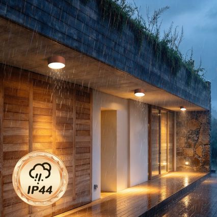 BRILAGI - Venkovní stropní svítidlo FORIS LED/20W/230V pr. 15 cm bronzová IP44