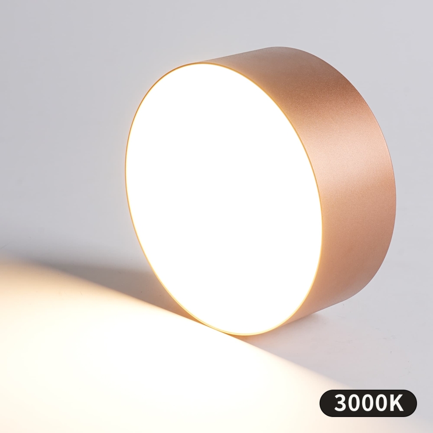 BRILAGI - Venkovní stropní svítidlo FORIS LED/20W/230V pr. 15 cm bronzová IP44