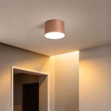 BRILAGI - Venkovní stropní svítidlo FORIS LED/9W/230V pr. 9 cm bronzová IP44