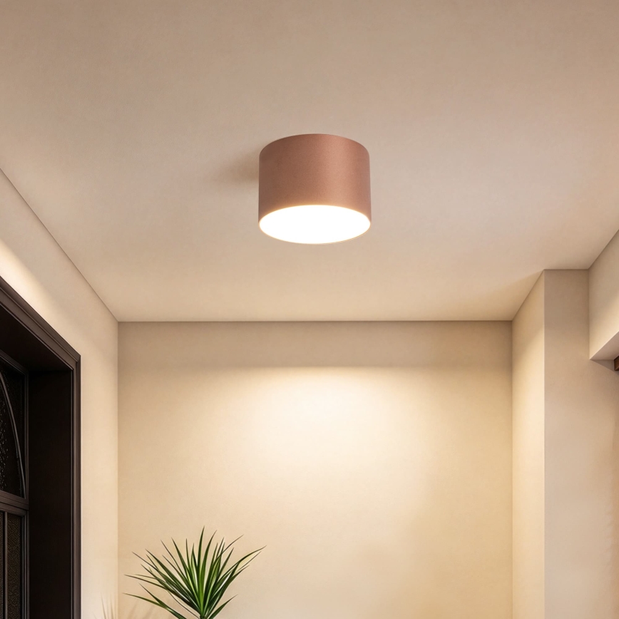 BRILAGI - Venkovní stropní svítidlo FORIS LED/9W/230V pr. 9 cm bronzová IP44