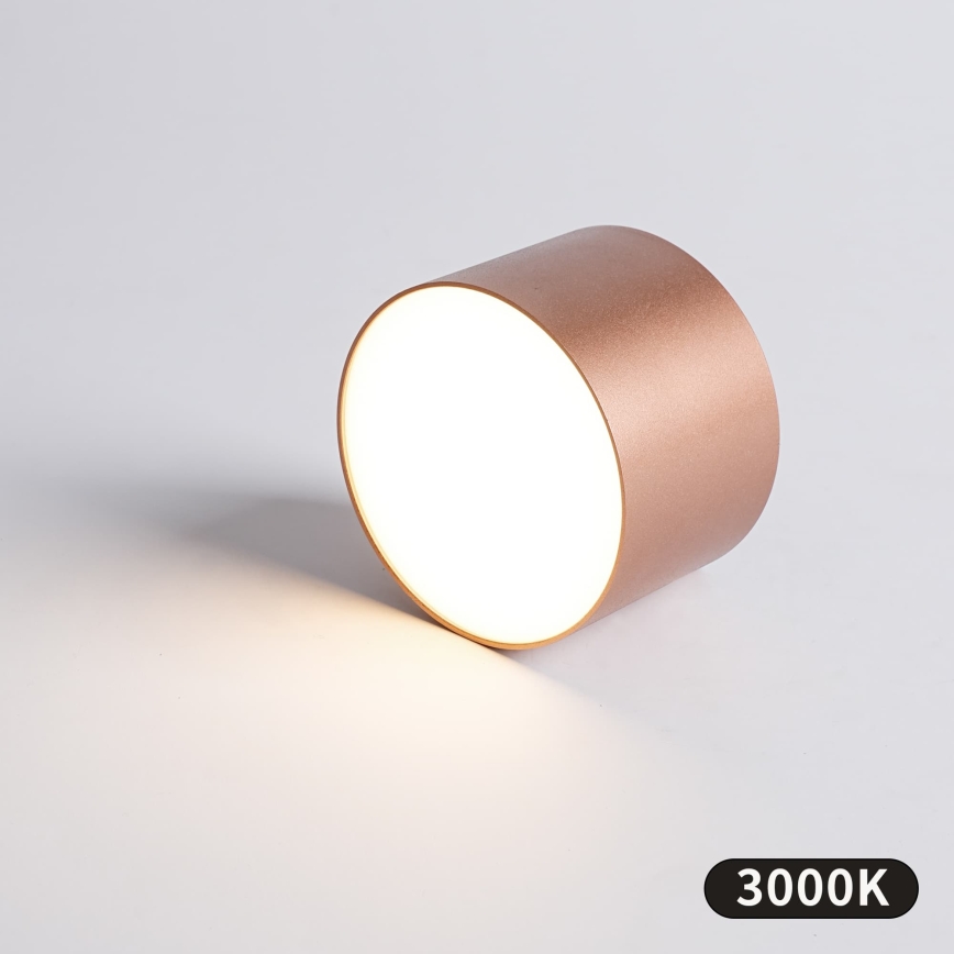 BRILAGI - Venkovní stropní svítidlo FORIS LED/9W/230V pr. 9 cm bronzová IP44
