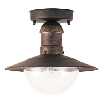 Brilagi - Venkovní stropní svítidlo MOLDE 1xE27/60W IP44 bronzová/patina