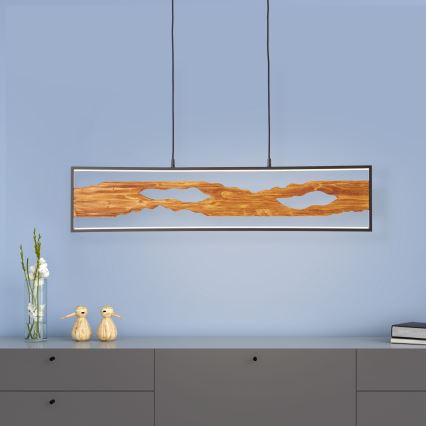 Brilliant - LED Lustr na lanku CHAUMONT LED/20W/230V borovice