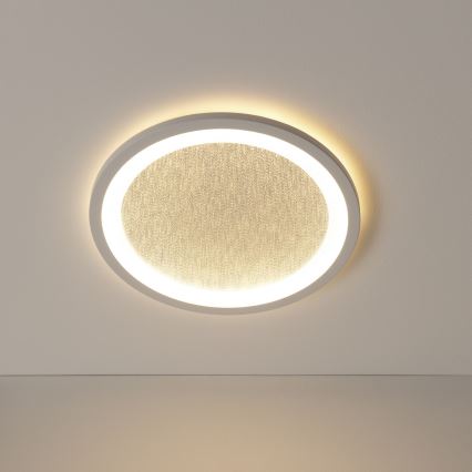 Brilliant - LED RGBW Stmívatelné stropní svítidlo TANIDA LED/22W/230V 3000-6500K+ dálkové ovládání