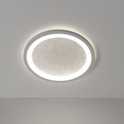 Brilliant - LED RGBW Stmívatelné stropní svítidlo TANIDA LED/22W/230V 3000-6500K+ dálkové ovládání