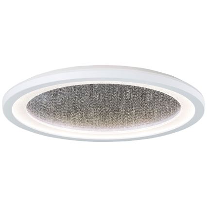 Brilliant - LED RGBW Stmívatelné stropní svítidlo TANIDA LED/22W/230V 3000-6500K+ dálkové ovládání