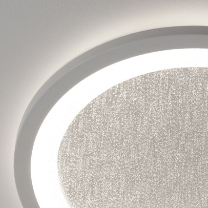 Brilliant - LED RGBW Stmívatelné stropní svítidlo TANIDA LED/22W/230V 3000-6500K+ dálkové ovládání