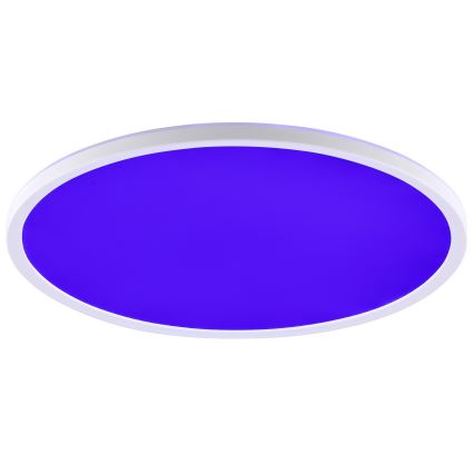 Brilliant - LED RGBW Stmívatelné stropní svítidlo LUMARO LED/22W/230V 4000K pr. 42 cm bílá + dálkové ovládání