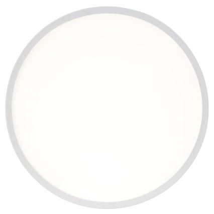 Brilliant - LED RGBW Stmívatelné stropní svítidlo LUMARO LED/22W/230V 4000K pr. 42 cm bílá + dálkové ovládání
