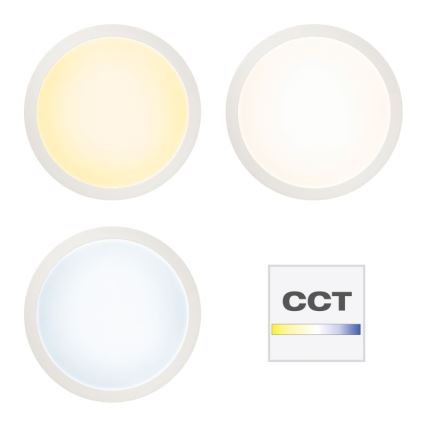 Brilliant - LED RGBW Stmívatelné stropní svítidlo ABIE LED/24W/230V 2700-6500K + dálkové ovládání