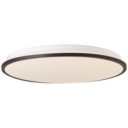Brilliant - LED RGBW Stmívatelné stropní svítidlo HEIDA LED/30W/230V 3000-6500K + dálkové ovládání