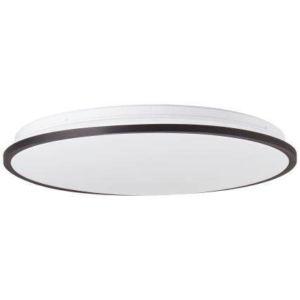 Brilliant - LED RGBW Stmívatelné stropní svítidlo HEIDA LED/30W/230V 3000-6500K + dálkové ovládání