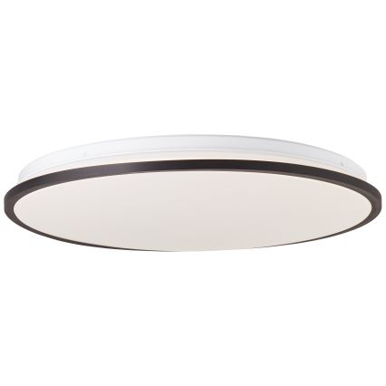 Brilliant - LED RGBW Stmívatelné stropní svítidlo HEIDA LED/30W/230V 3000-6500K + dálkové ovládání