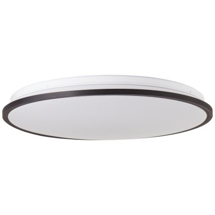 Brilliant - LED RGBW Stmívatelné stropní svítidlo HEIDA LED/30W/230V 3000-6500K + dálkové ovládání