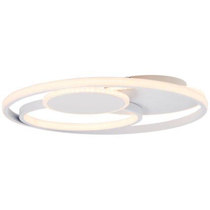 Brilliant - LED Stmívatelné stropní svítidlo RUNDA LED/50W/230V 3000-6500K bílá + dálkové ovládání