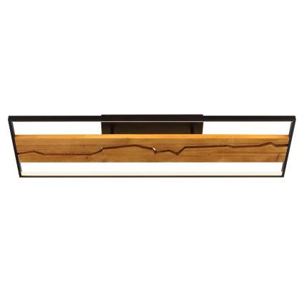 Brilliant - LED Stmívatelné stropní svítidlo THUNDER LED/42W/230V borovice