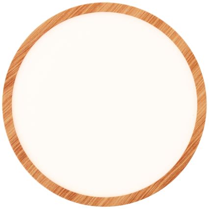 Brilliant - LED Stmívatelné stropní svítidlo TUCO LED/20W/230V pr. 29,5 cm bílá/béžová