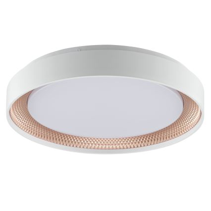 Brilliant - LED Stmívatelné stropní svítidlo WALDO LED/24W/230V 3000-6500K pr. 38,5 cm bílá/rose gold + dálkové ovládání