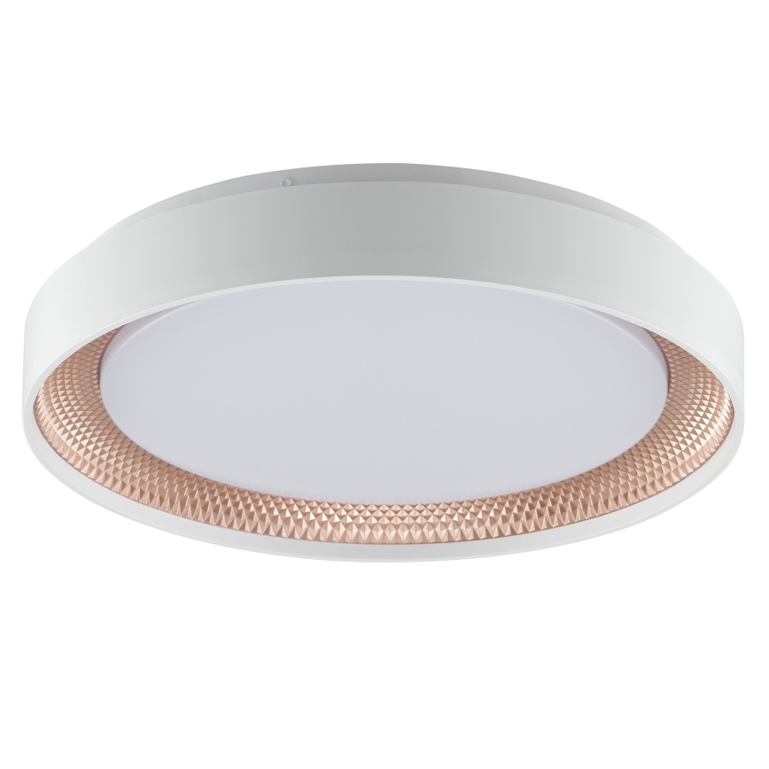 Brilliant - LED Stmívatelné stropní svítidlo WALDO LED/24W/230V 3000-6500K pr. 38,5 cm bílá/rose gold + dálkové ovládání