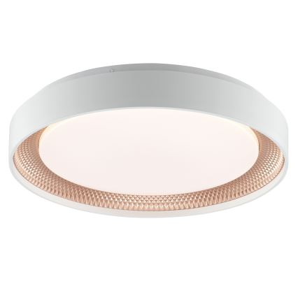 Brilliant - LED Stmívatelné stropní svítidlo WALDO LED/24W/230V 3000-6500K pr. 38,5 cm bílá/rose gold + dálkové ovládání