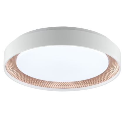 Brilliant - LED Stmívatelné stropní svítidlo WALDO LED/24W/230V 3000-6500K pr. 38,5 cm bílá/rose gold + dálkové ovládání