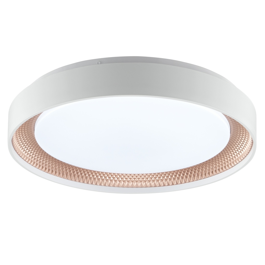 Brilliant - LED Stmívatelné stropní svítidlo WALDO LED/24W/230V 3000-6500K pr. 38,5 cm bílá/rose gold + dálkové ovládání