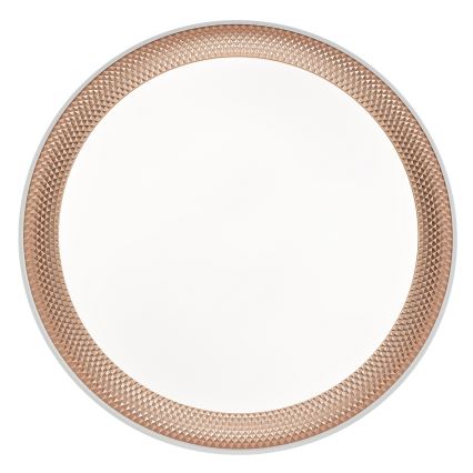 Brilliant - LED Stmívatelné stropní svítidlo WALDO LED/24W/230V 3000-6500K pr. 38,5 cm bílá/rose gold + dálkové ovládání