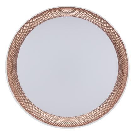 Brilliant - LED Stmívatelné stropní svítidlo WALDO LED/24W/230V 3000-6500K pr. 38,5 cm bílá/rose gold + dálkové ovládání