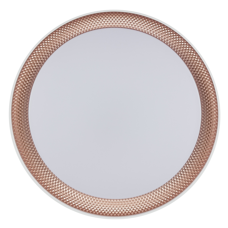 Brilliant - LED Stmívatelné stropní svítidlo WALDO LED/24W/230V 3000-6500K pr. 38,5 cm bílá/rose gold + dálkové ovládání
